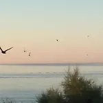Les Pieds Dans L'eau Portiragnes