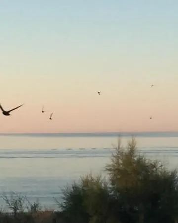 Les Pieds Dans L'eau Portiragnes